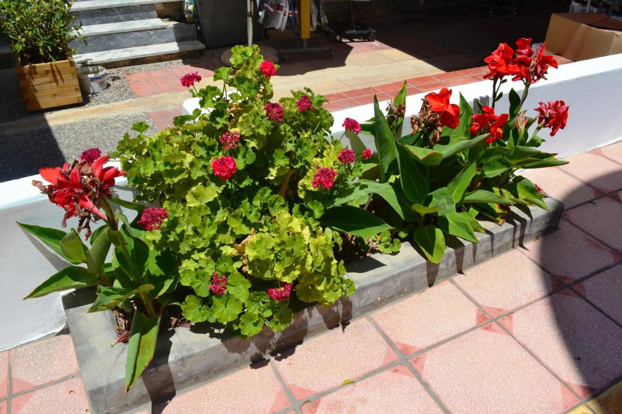 Hotel Arant Мастихари Экстерьер фото